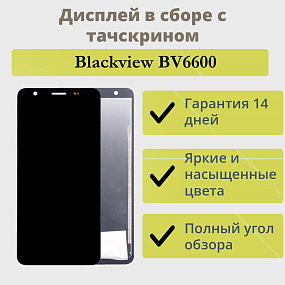 Дисплей для телефона Blackview BV6600 в сборе с тачскрином Черный