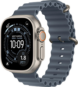 Часы наручные Apple Watch Ultra 3 49mm серый